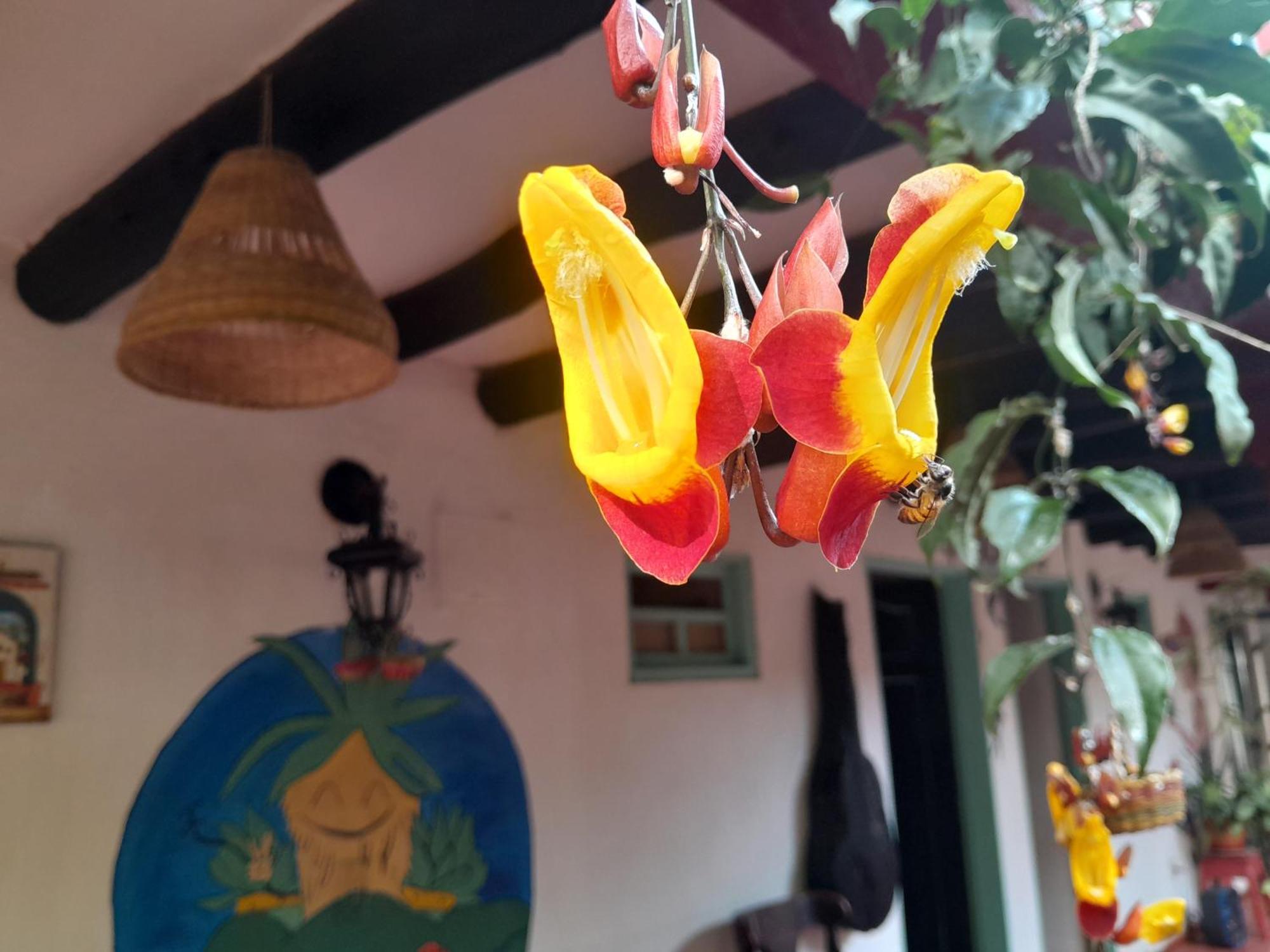 Beija Flor Hostel Villa de Leyva Bagian luar foto